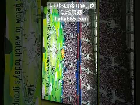 从萨拉赫亮,相利物浦那,一刻起,爱游戏平台,爱游戏官方网站,爱游戏登录入口,爱游戏app下载