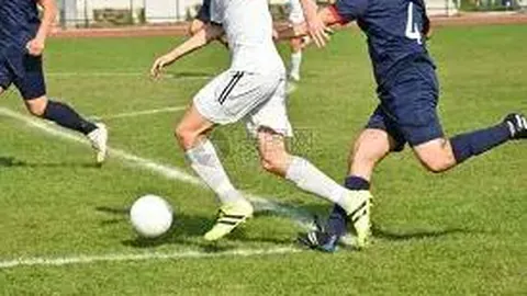 电视节目播出表